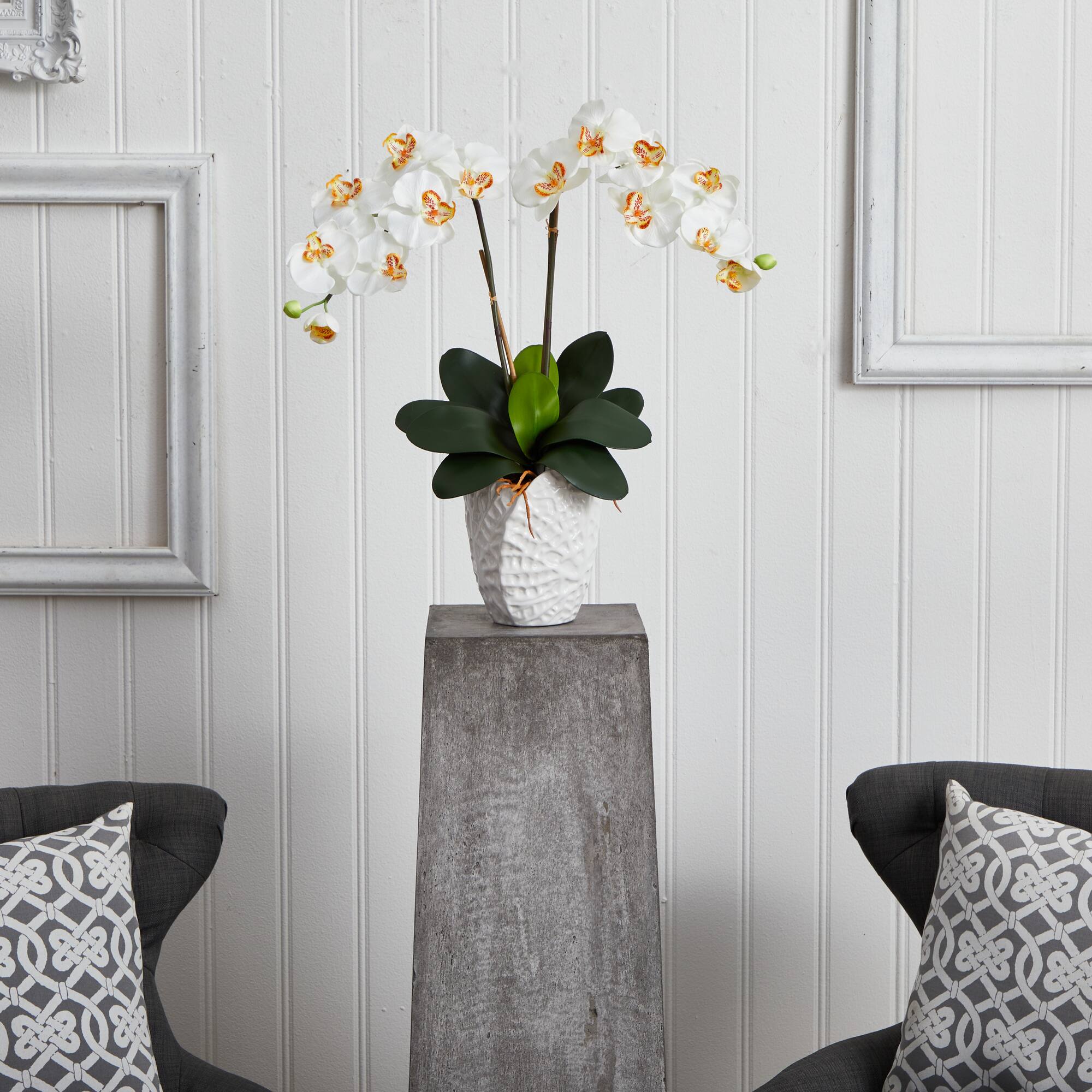 23" White Double Stem Orchid Arrangement in White Textured Vase